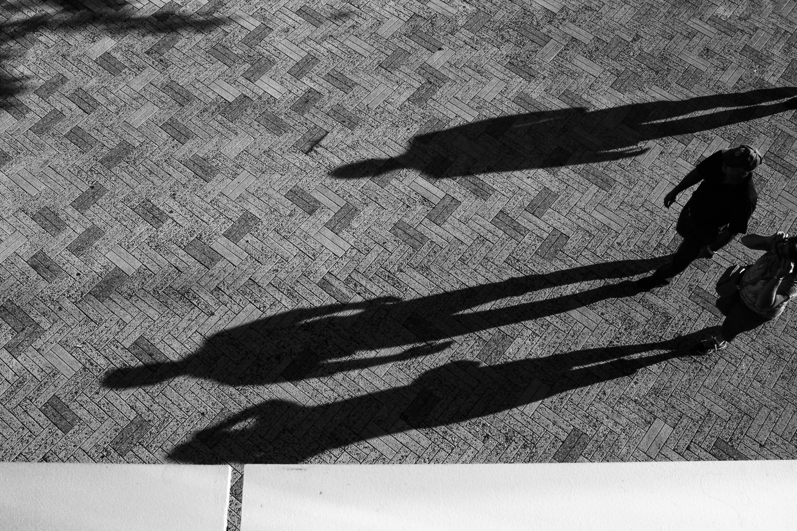 Lifes Shadows